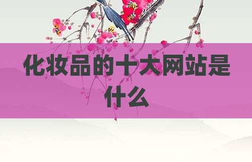 化妆品的十大网站是什么
