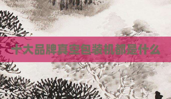十大品牌真空包装机都是什么