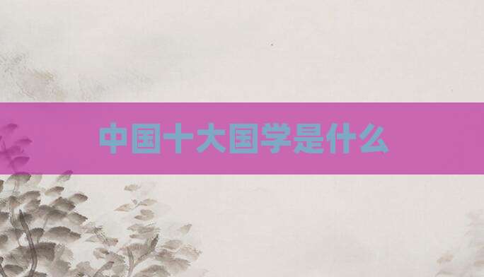 中国十大国学是什么