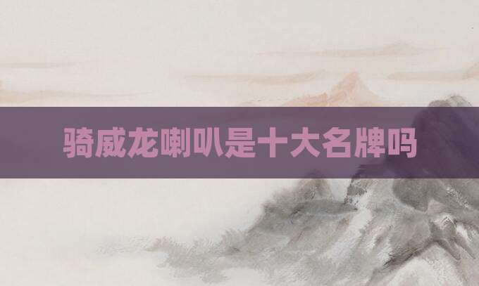 骑威龙喇叭是十大名牌吗