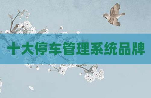 十大停车管理系统品牌
