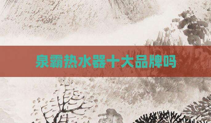 泉霸热水器十大品牌吗