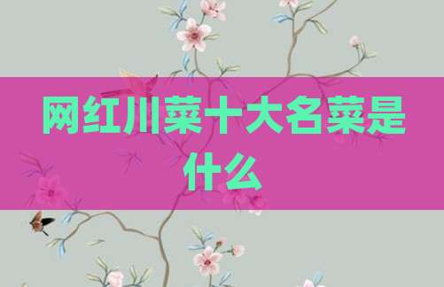 网红川菜十大名菜是什么