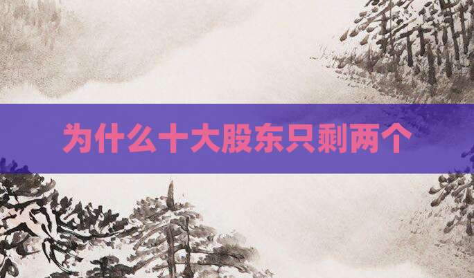 为什么十大股东只剩两个