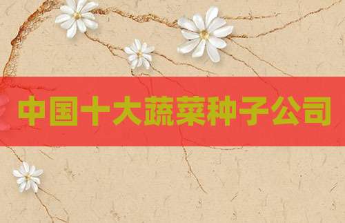 中国十大蔬菜种子公司
