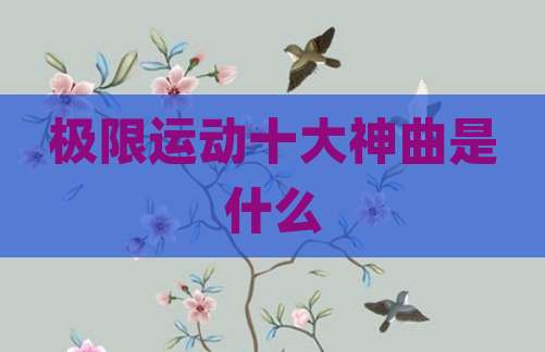 极限运动十大神曲是什么