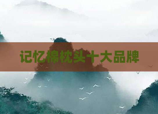 记忆棉枕头十大品牌
