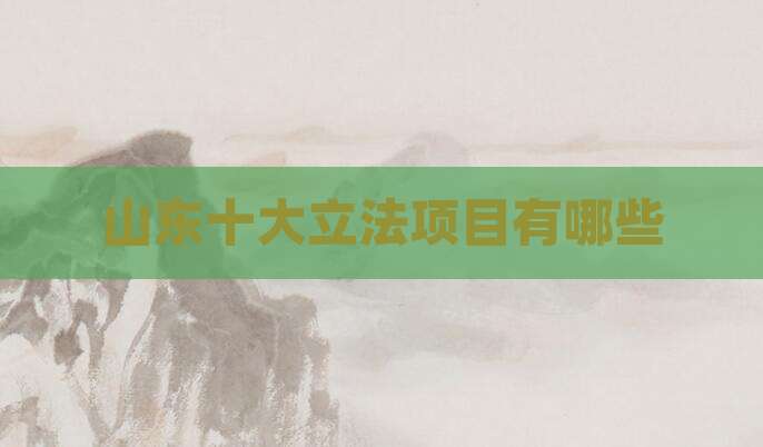 山东十大立法项目有哪些