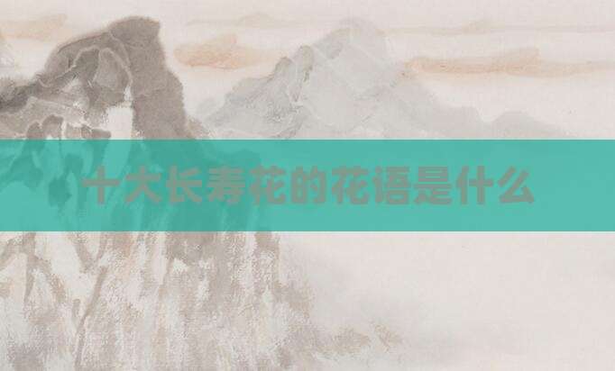 十大长寿花的花语是什么