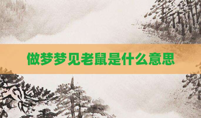 做梦梦见老鼠是什么意思
