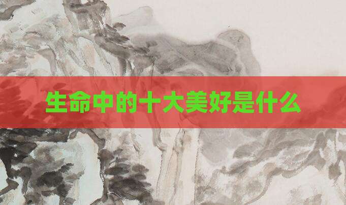 生命中的十大美好是什么