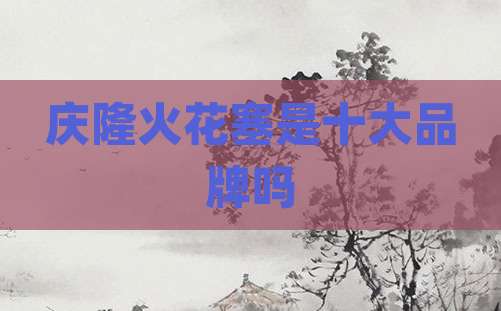庆隆火花塞是十大品牌吗