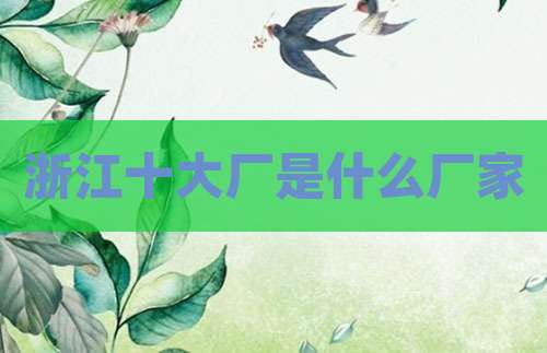 浙江十大厂是什么厂家