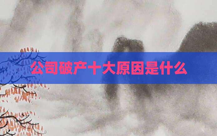 公司破产十大原因是什么