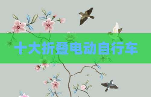 十大折叠电动自行车