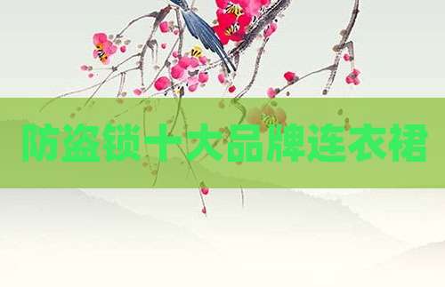 防盗锁十大品牌连衣裙