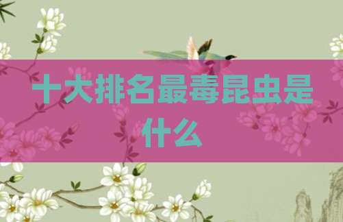 十大排名最毒昆虫是什么