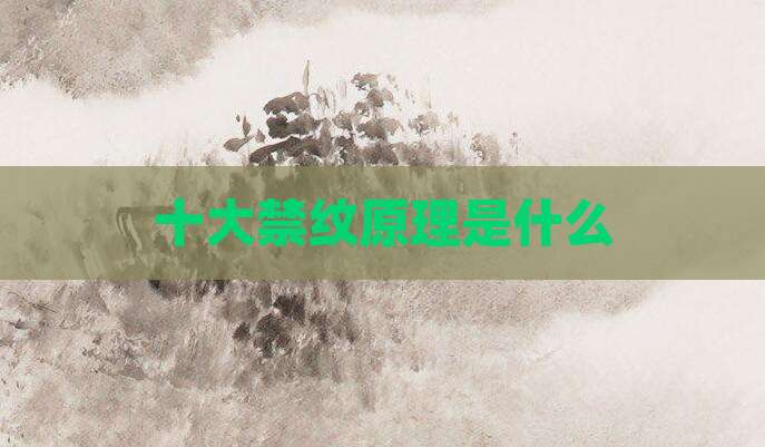 十大禁纹原理是什么