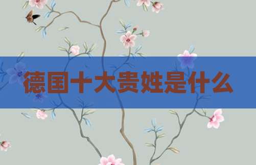 德国十大贵姓是什么