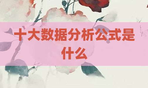 十大数据分析公式是什么