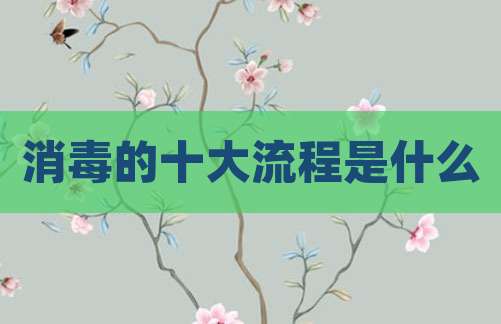 消毒的十大流程是什么