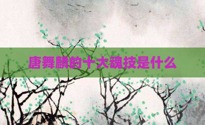 唐舞麟的十大魂技是什么