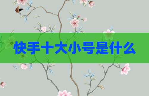快手十大小号是什么