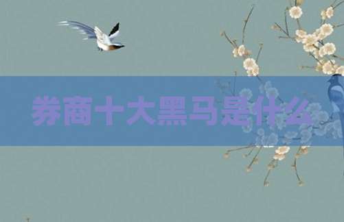 券商十大黑马是什么
