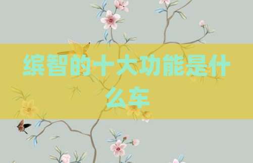 缤智的十大功能是什么车