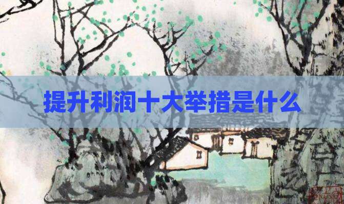 提升利润十大举措是什么