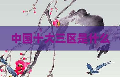 中国十大三区是什么