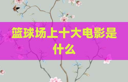 篮球场上十大电影是什么