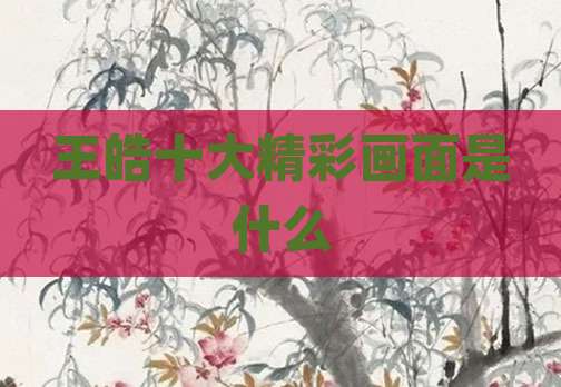 王皓十大精彩画面是什么