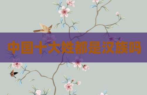 中国十大姓都是汉族吗