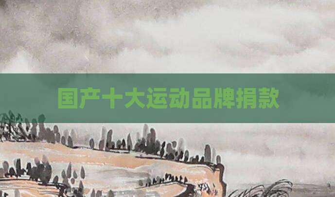 国产十大运动品牌捐款