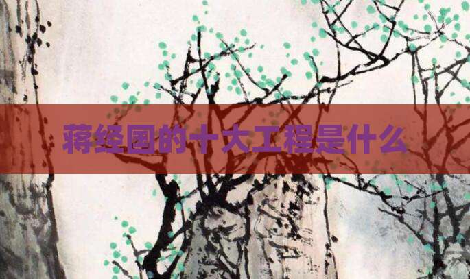 蒋经国的十大工程是什么
