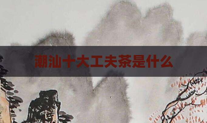 潮汕十大工夫茶是什么