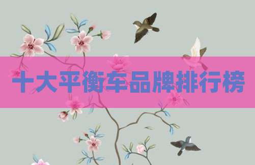 十大平衡车品牌排行榜