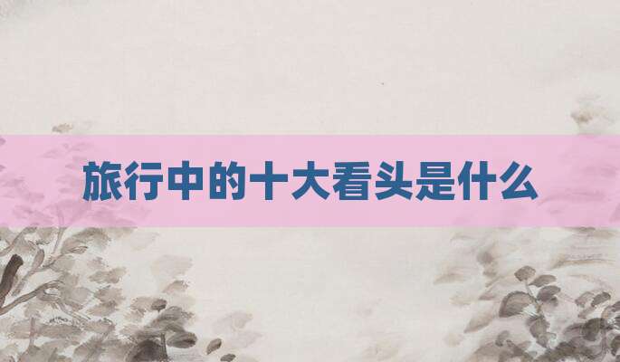 旅行中的十大看头是什么