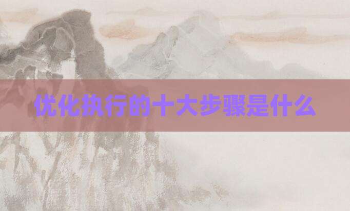 优化执行的十大步骤是什么