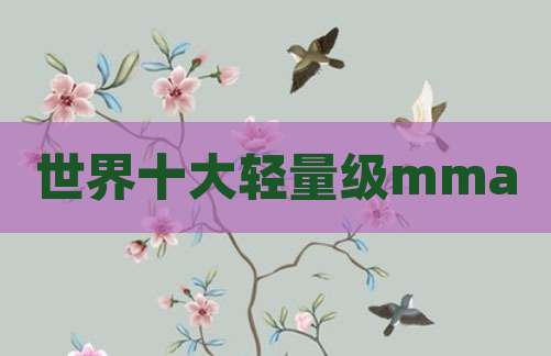 世界十大轻量级mma
