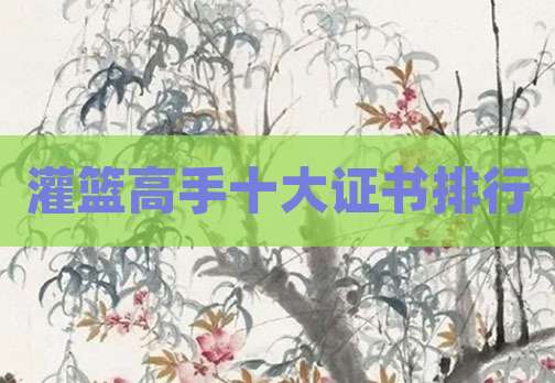 灌篮高手十大证书排行