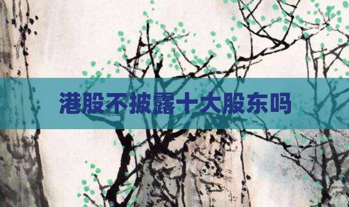 港股不披露十大股东吗