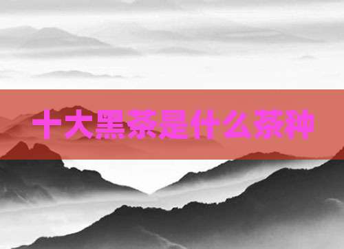 十大黑茶是什么茶种