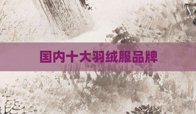 国内十大羽绒服品牌