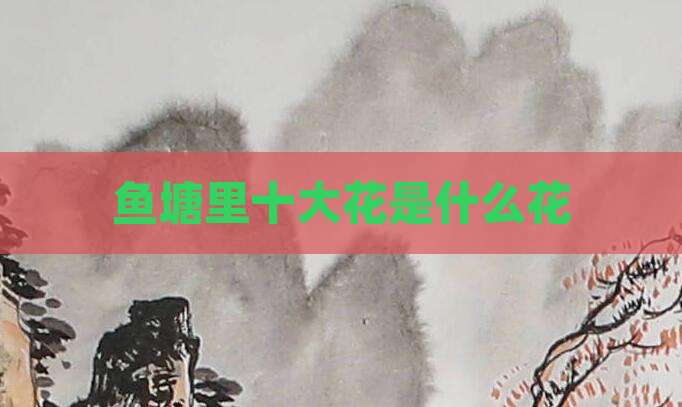 鱼塘里十大花是什么花