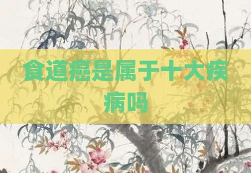 食道癌是属于十大疾病吗