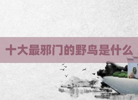 十大最邪门的野鸟是什么