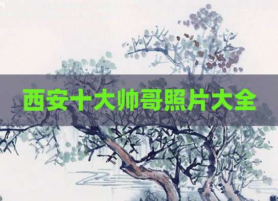 西安十大帅哥照片大全