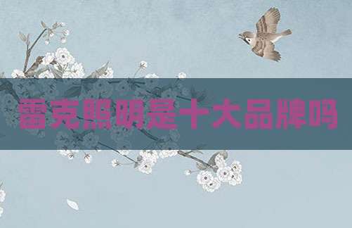 雷克照明是十大品牌吗